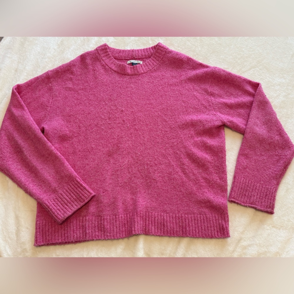 American Eagle Outfitters Fuchsia Crew Neck Sweater